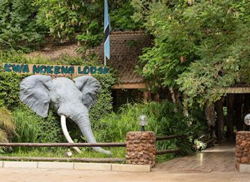 botswana/tuli-block/bar/kwa-nokeng-lodge