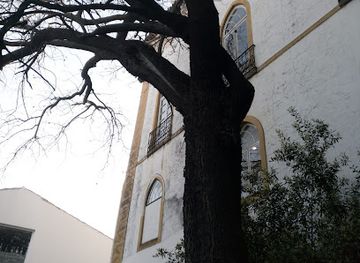 portugal/evora/bar/barue