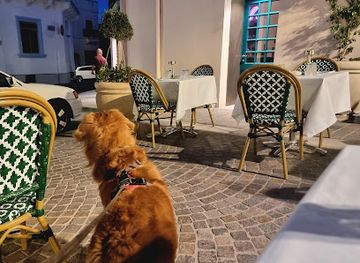 malta/dingli-cliffs/bar/barbajean