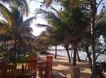 belize/stann-creek-district/bar/mango-s-beachfront-bar-hopkins-sittee-point