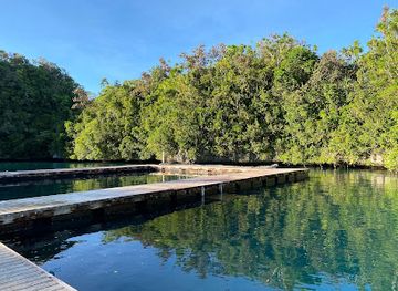 palau/ngardmau-waterfall/bar/dolphins-pacific