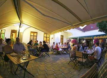 hungary/koszeg-mountains/bar/toth-wine-cellars