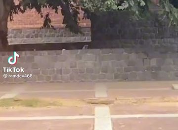 somalia/mudug/bar/hormuud-restaurant