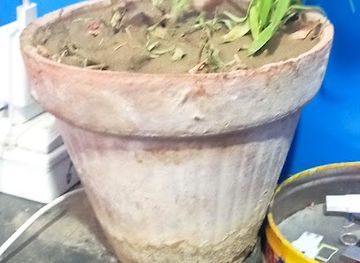 pakistan/makran-coast/bar/al-asmat-traders