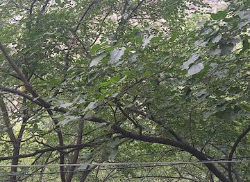 armenia/shikahogh-state-reserve/bar/lenko-hotel-restaurant