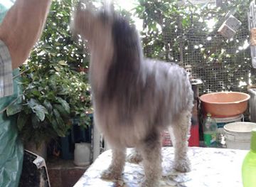 uruguay/queguay/bar/bar-agustin