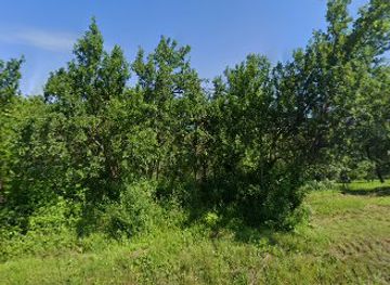 romania/bihor-mountains/bar/casa-alesia