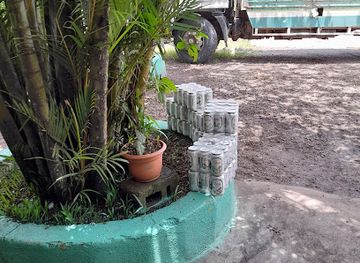 nicaragua/north-caribbean-coast-autonomous-region/bar/loaisiga