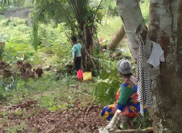 gabon/ngounie-province/bar/the-3bbah