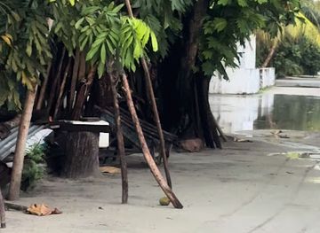 maldives/haa-alif-atoll/bar/goathi-magu-houseboat-bar