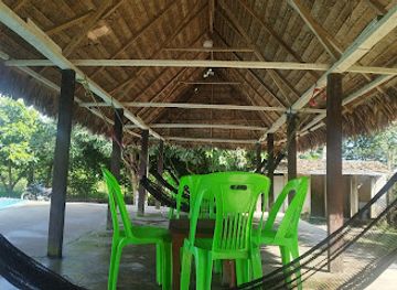 peru/madre-de-dios/bar/dentro-recreacional-el-bosque