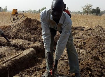 cameroon/north-region/bar/pharmacie-bar