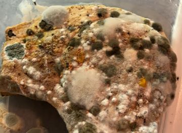 canada/montreal/griffintown/bar/le-658