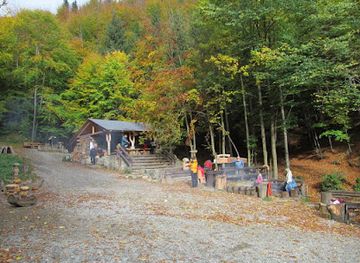 czechia/jeseniky-mountains/bar/lesni-bar