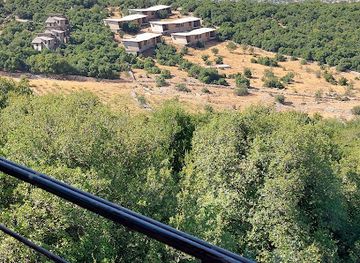 jordan/ajloun-forest-reserve/bar/ajloun-forest-reserve-zipline