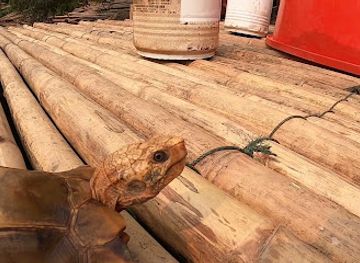 laos/vang-vieng/bar/reggae-bar-vangvieng