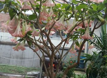 south-korea/andong/bar/circle-face