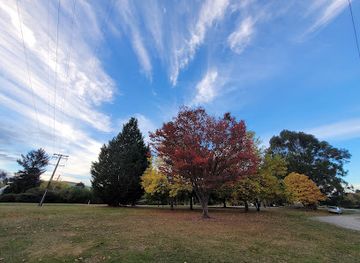 new-zealand/canterbury/bar/cave-arms-tavern