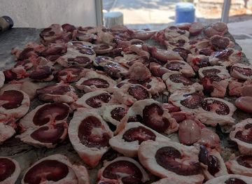 libya/jebel-akhdar/bar/