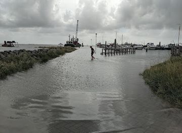 netherlands/wadden-islands/bar/the-harbour-ameland