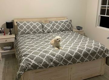 barbados/saint-joseph/bar/r-y-wooden-finishes-inc