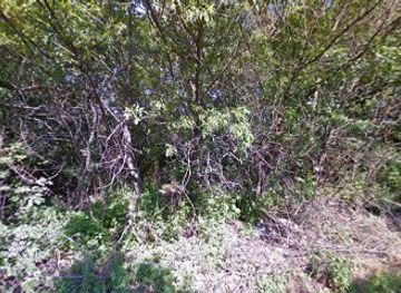 ukraine/kremenchuk/bar/on