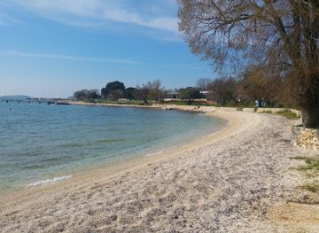 croatia/rovinj-archipelago/bar/barba-danilo