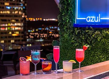 texas/central-texas/bar/azul-rooftop