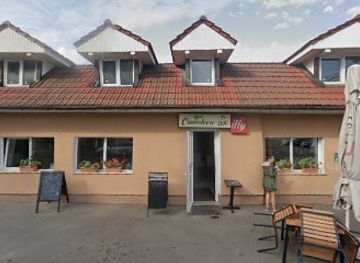 romania/bihor/bar/cameleon