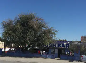 Bush Bar