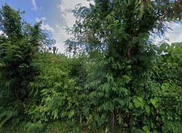 philippines/chocolate-hills/bar/one-shot-restobar