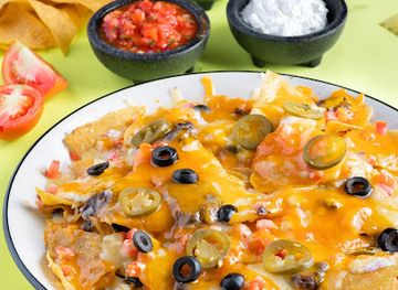 india/vadodara/alkapuri/bar/the-mexican-tapas-bar-gourmet-cloud-kitchen