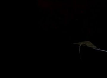 guatemala/verapaces/bar/titanic-coban