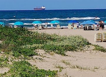 texas/padre-island-national-seashore/bar/landshark-bar-grill-south-padre