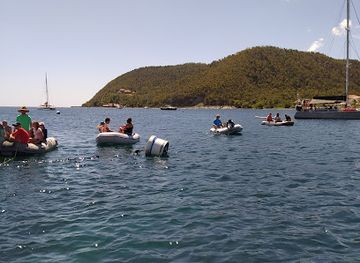 dominica/hampstead-beach/bar/kish-tree-view-bar-grill-plus-yacht-services