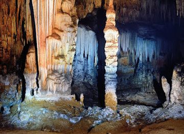 yemen/socotra-archipelago/bar/
