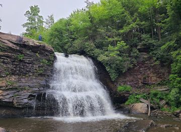 maryland/swallow-falls-state-park/bar/swallow-falls-natural-area