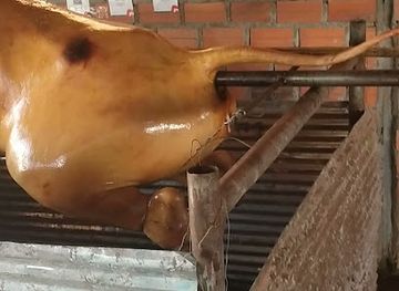 cambodia/kampong-speu/bar/