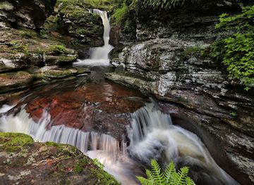 pennsylvania/ricketts-glen-state-park/bar/adams-falls-at-ricketts-glen