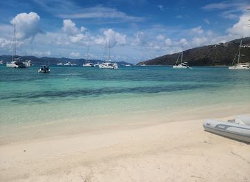 british-virgin-islands/jost-van-dyke-beaches/bar/foxy-s-jost-van-dyke-british-virgin-islands