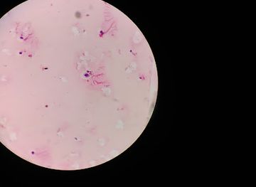 cameroon/west-region/bar/sans-soucie-bar