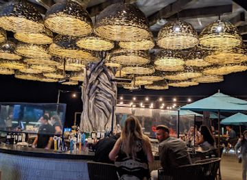 california/huntington-beach/huntington-beach-pier/bar/treehouse-on-pch