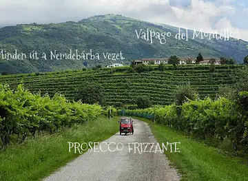 Nemdebár