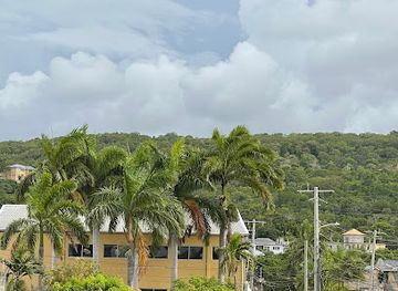 jamaica/martha-brae-river-valley/bar/irie-flava-restaurant