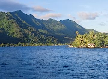 french-polynesia/taha-a/bar/tahaa