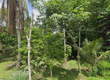 philippines/chocolate-hills/bar/ariston-s-place