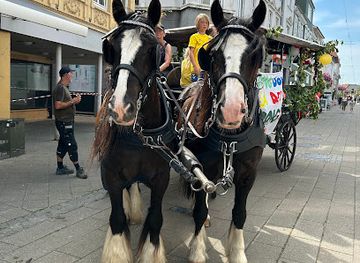 denmark/lolland/bar/bodega-guldhornet