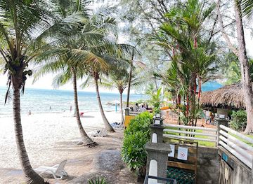 honduras/cusuco-national-park/bar/bar-papamilo