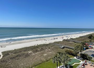 south-carolina/sea-islands/bar/coconuts-tiki-bar