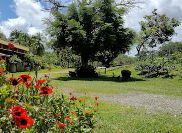 costa-rica/corcovado-national-park/bar/bar-ruta2